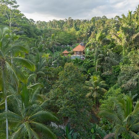 Gunung Kawi Villa Tegallalang  Bagian luar foto