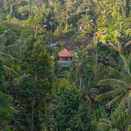 Gunung Kawi Villa Tegallalang  Bagian luar foto