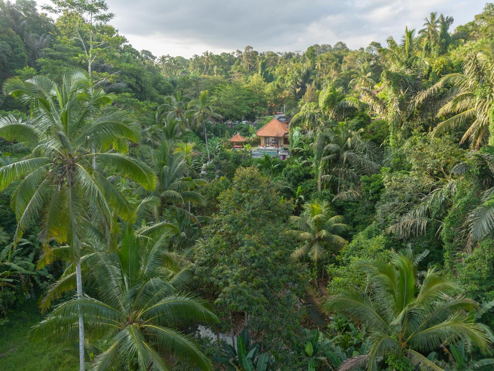 Gunung Kawi Villa Tegallalang  Bagian luar foto