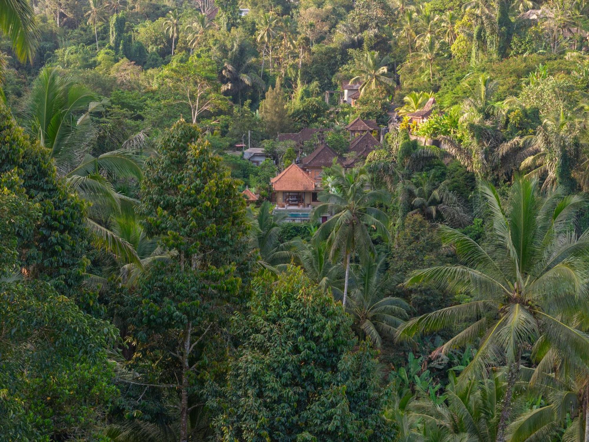 Gunung Kawi Villa Tegallalang  Bagian luar foto