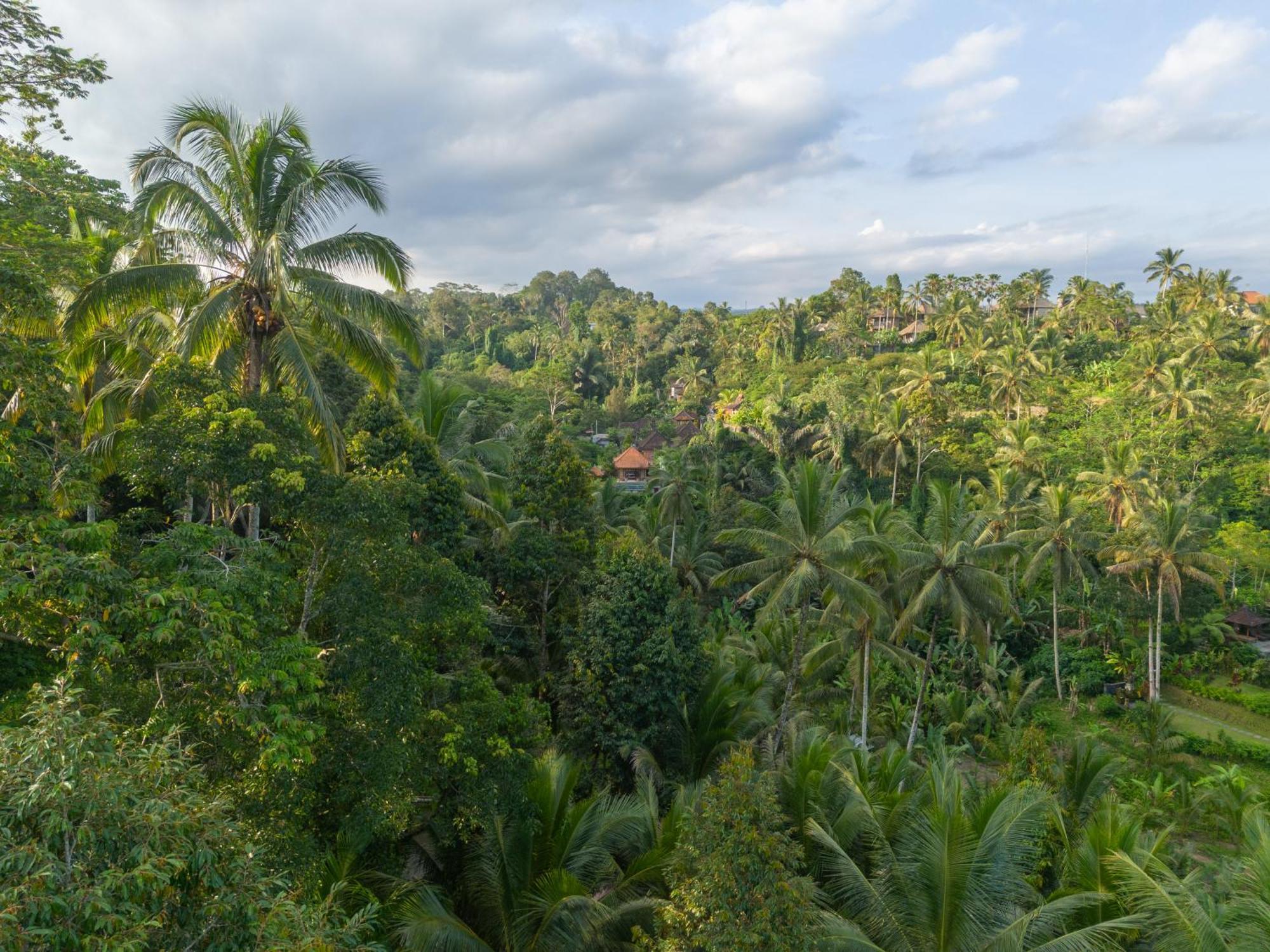 Gunung Kawi Villa Tegallalang  Bagian luar foto