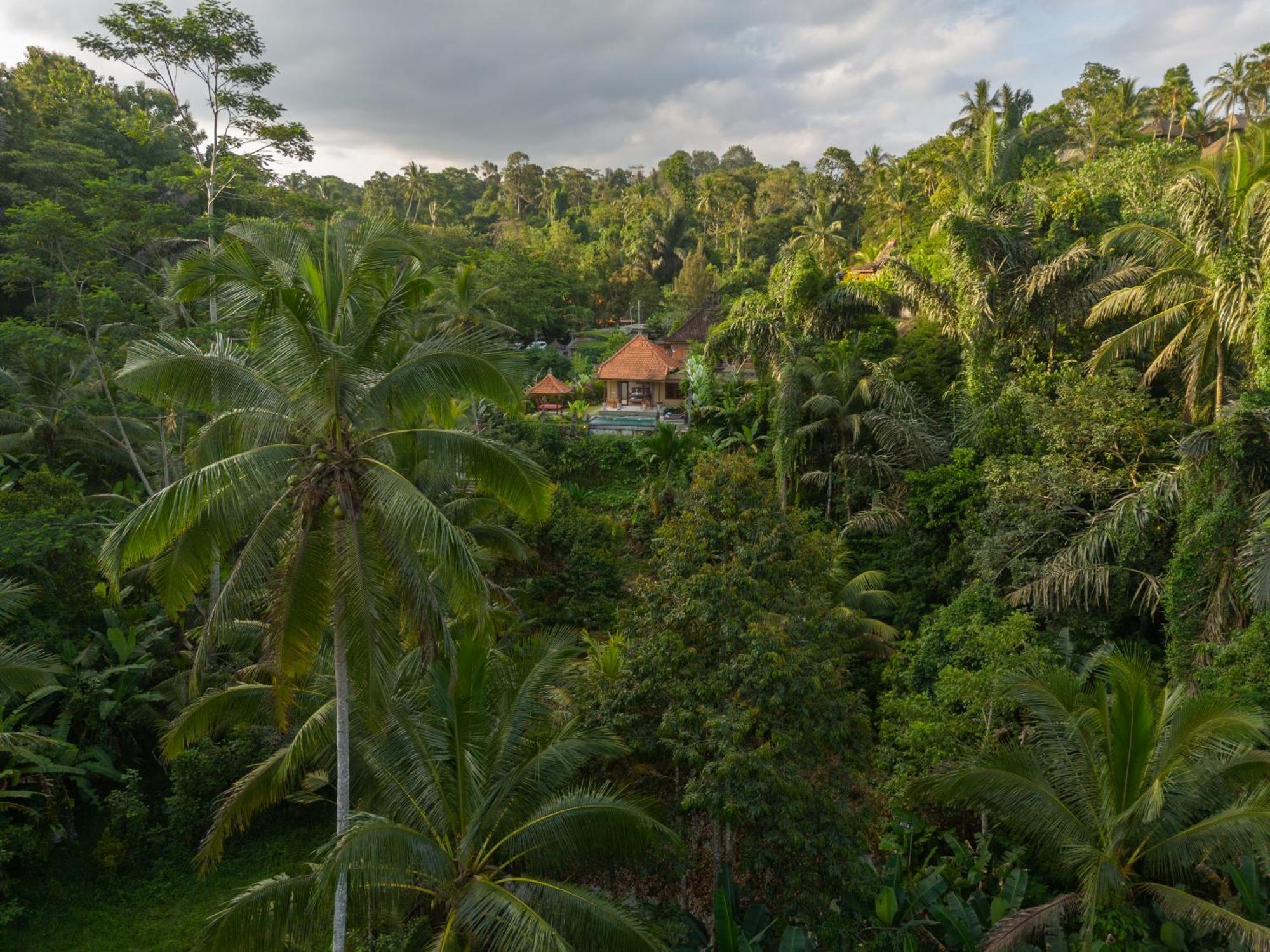Gunung Kawi Villa Tegallalang  Bagian luar foto